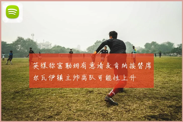 英媒称富勒姆有意请麦肯纳接替席尔瓦伊镇主帅离队可能性上升
