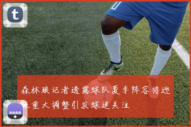 森林狼记者透露球队夏季阵容将迎来重大调整引发球迷关注
