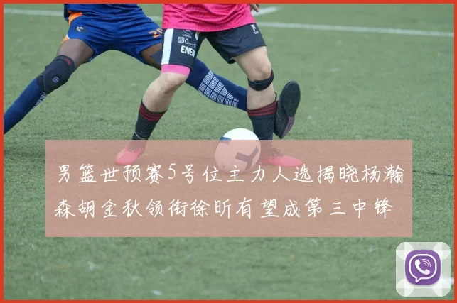 男篮世预赛5号位主力人选揭晓杨瀚森胡金秋领衔徐昕有望成第三中锋