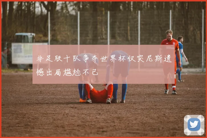 非足联十队争夺世界杯仅突尼斯遗憾出局尴尬不已