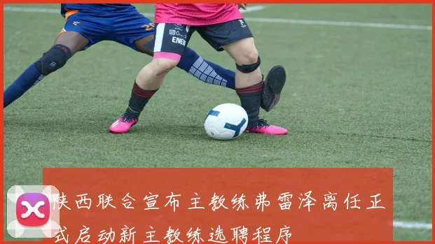 陕西联合宣布主教练弗雷泽离任正式启动新主教练选聘程序